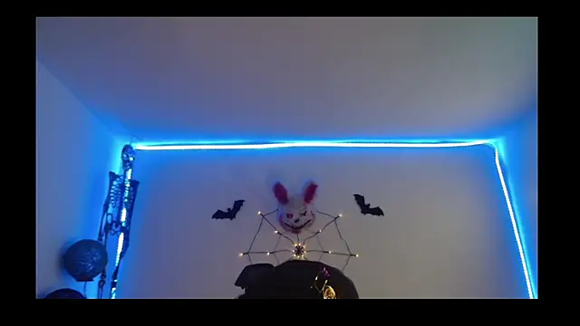 David_Fox01 webcam