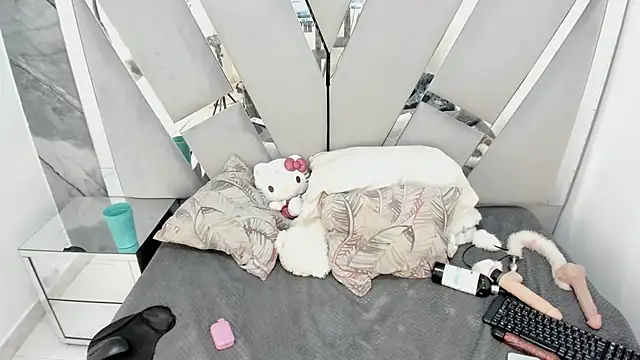 kittyhtx webcam