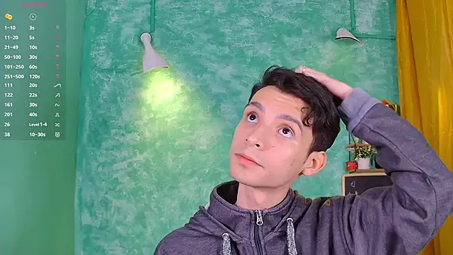 VicenteFerrer webcam