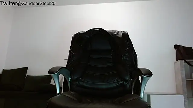 Xandeer_Steel webcam