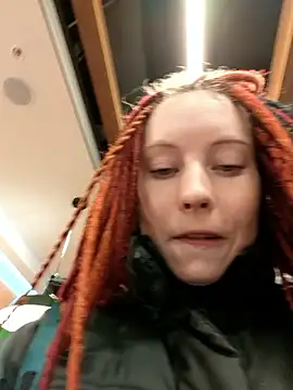 Frost_foxy webcam