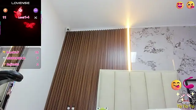 MADISON_ROWAN1 webcam