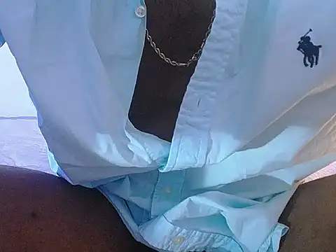 Denzo_cornell1 webcam