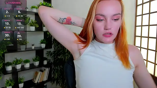 Ida_FaneStain webcam