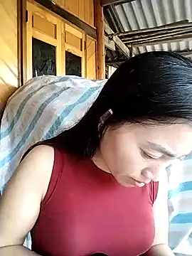 PhienPhien webcam