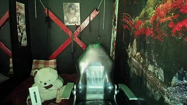 Tracy_KS webcam