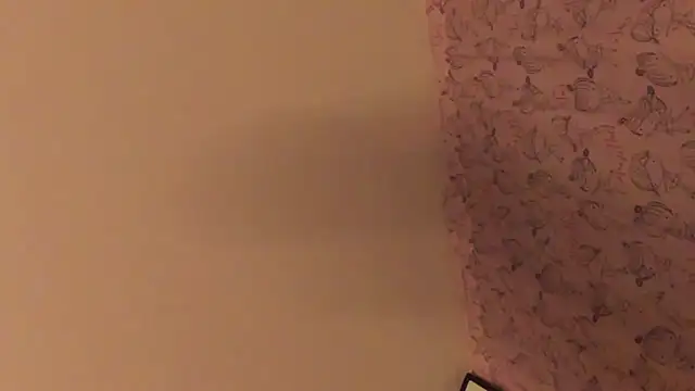 kyle8_ls webcam