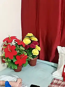 Shanu_Shah webcam