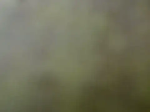 tamyandtony webcam