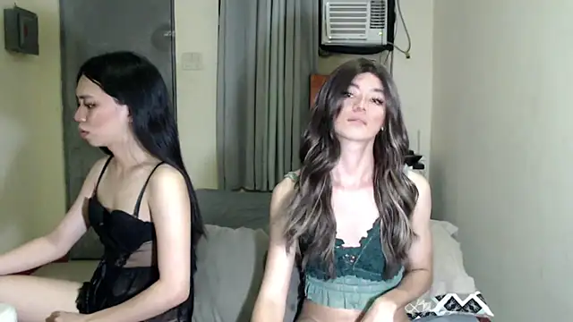 ursassytrans webcam