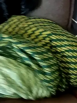 nishatelugu1 webcam