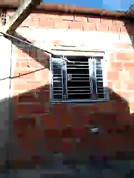 ariana_d20 webcam