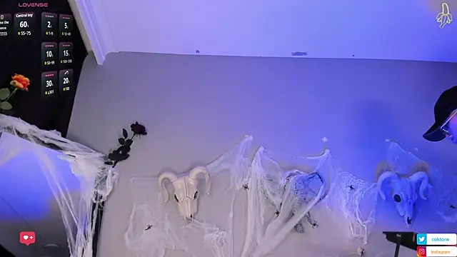 Colstorw_ webcam
