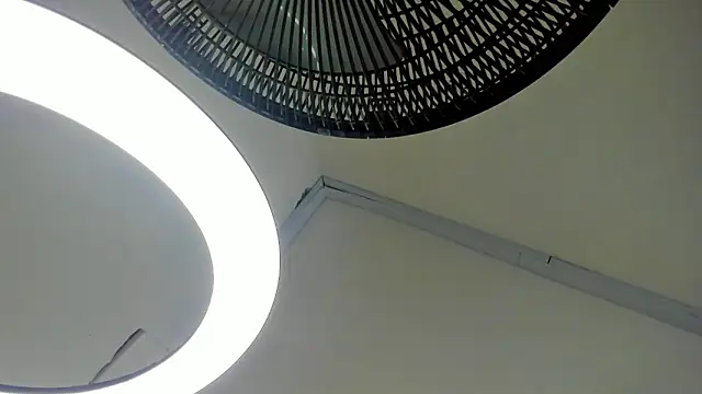 galactica_ webcam