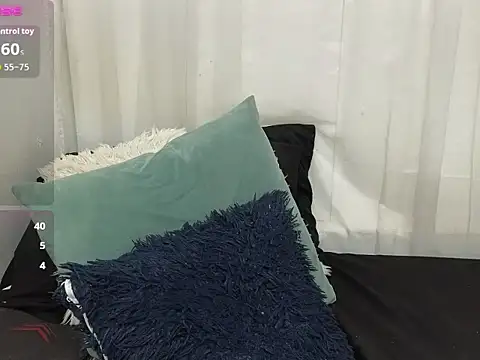 ninaa_fox webcam