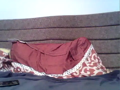 parshivu webcam