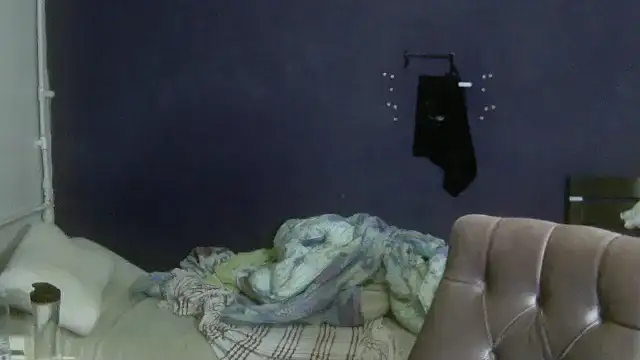 turkishTransEfsun webcam