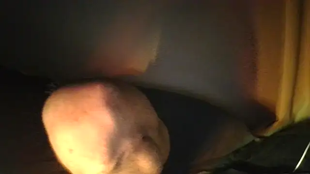 sheiku webcam