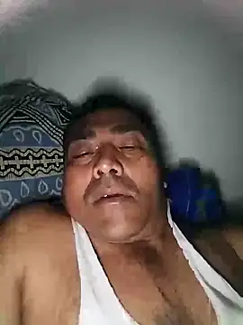 Pitercom webcam