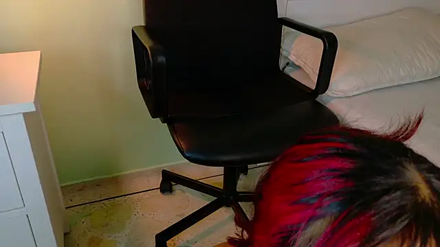 ParisFox_ webcam