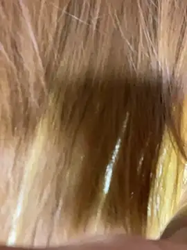 ROSE__15