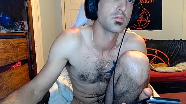 Ardokks webcam