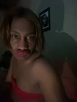 Moorella1 webcam