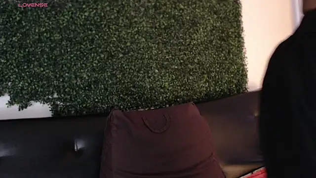 sam_ford_2 webcam