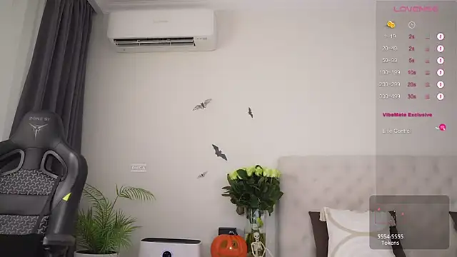 BestExtreme webcam