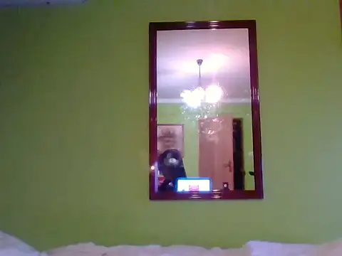 Tiger202441 webcam