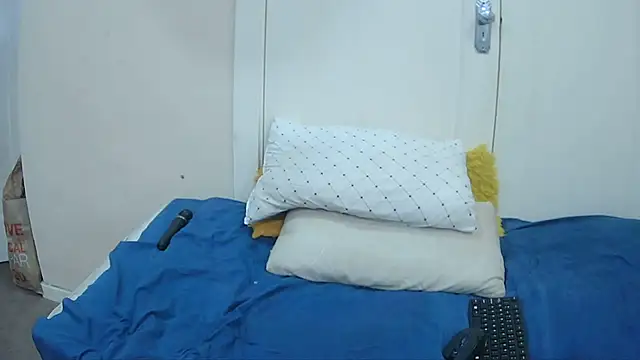 Flowelipsx86 webcam