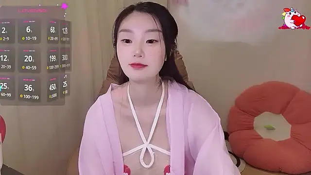 shaovu webcam