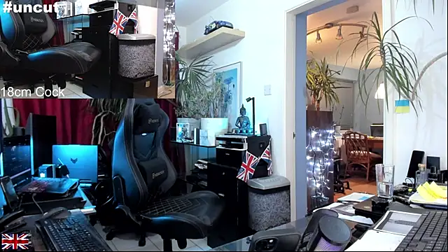 OnlineBossUK webcam