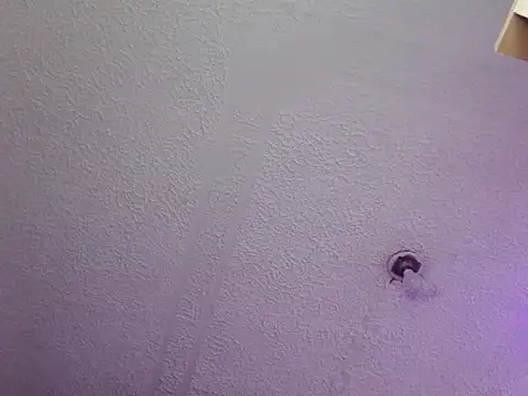 Pandora_9666 webcam
