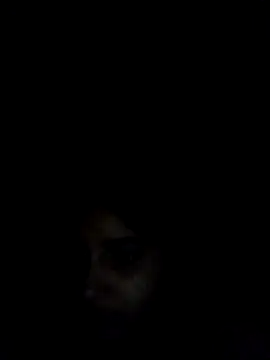 Sexey-Puja webcam