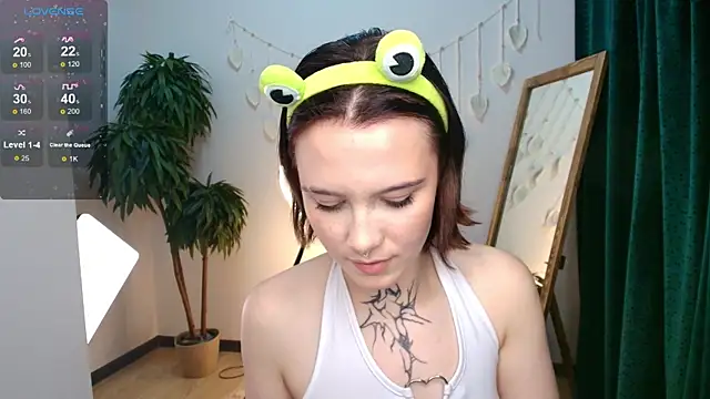 Elastikisss webcam