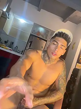 Dominiofit webcam