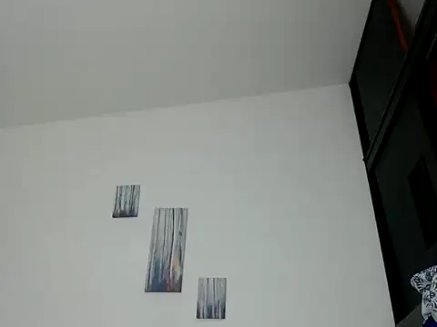 BrandonStond webcam