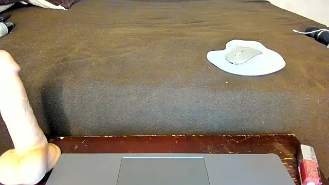 Dephne__ webcam