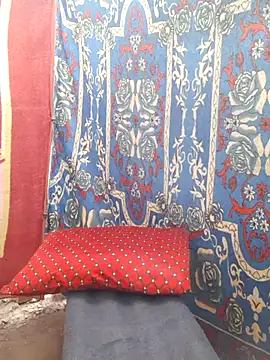 Burhade-- webcam