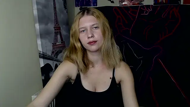 StellaCRL webcam