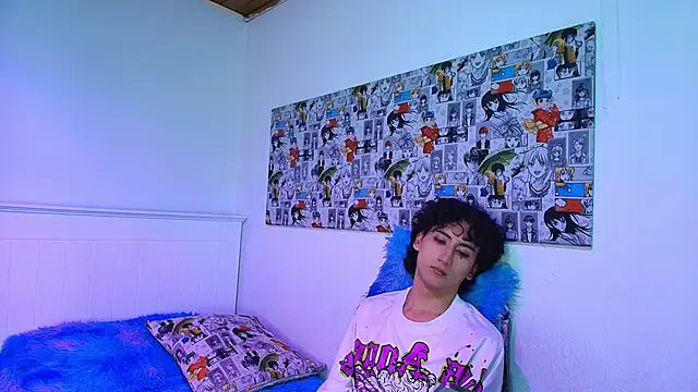noidysis webcam
