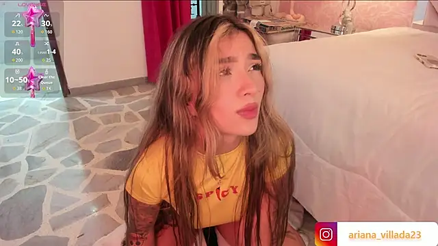 Arianavillada webcam