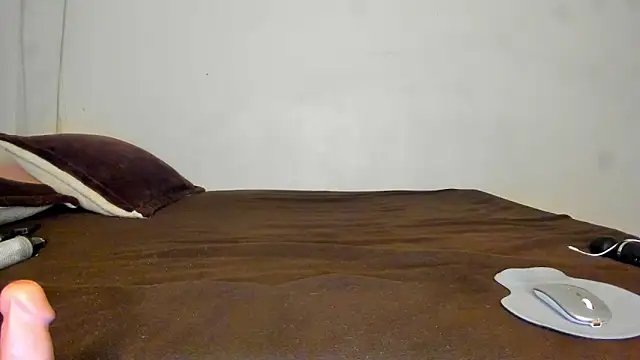 Dephne__ webcam
