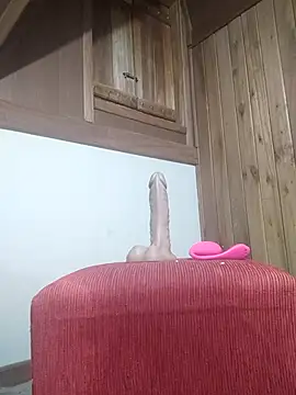 senhorasegredo webcam