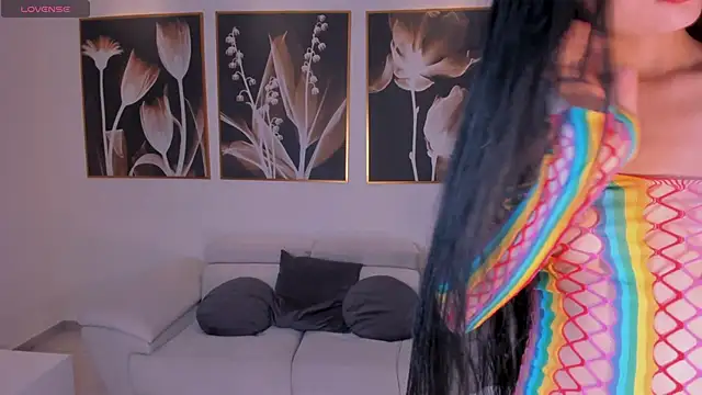 LaurentConnor webcam