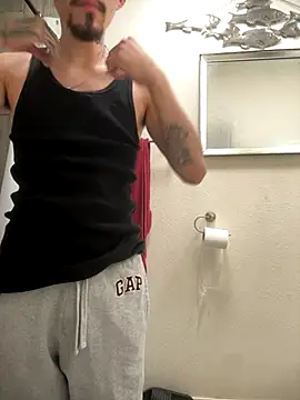 theone3121 webcam