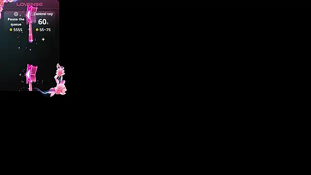 Romancartier_1 webcam