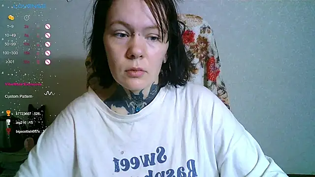 The_ICE_OWL webcam