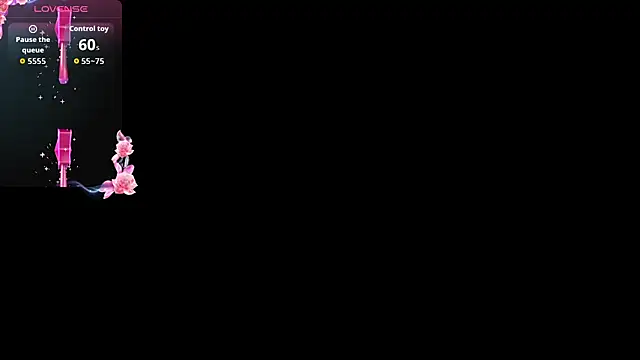 Romancartier_1 webcam